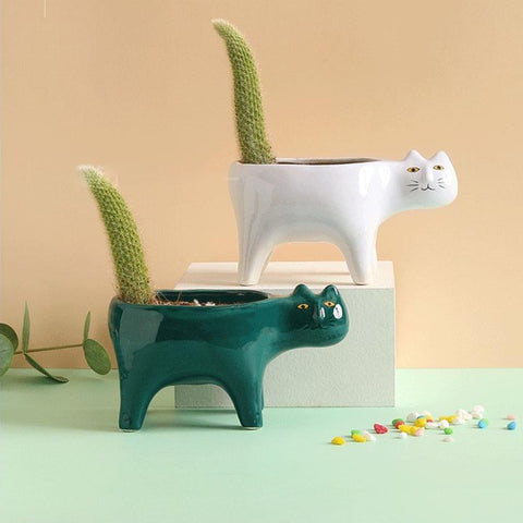 Image of Cat Cactus Pots