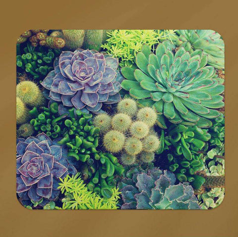 Image of succulent mouse pad cactus home decor