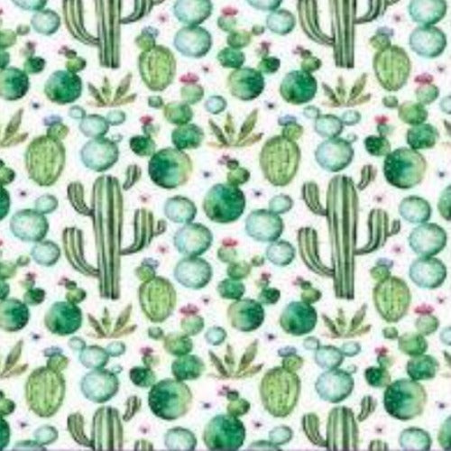 Super Soft Warm Colorful Cactus Print Blankets