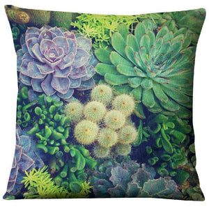 Gorgeous Succulent Pillow Cactus Covers