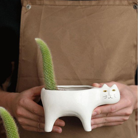 Image of Cat Cactus Pots