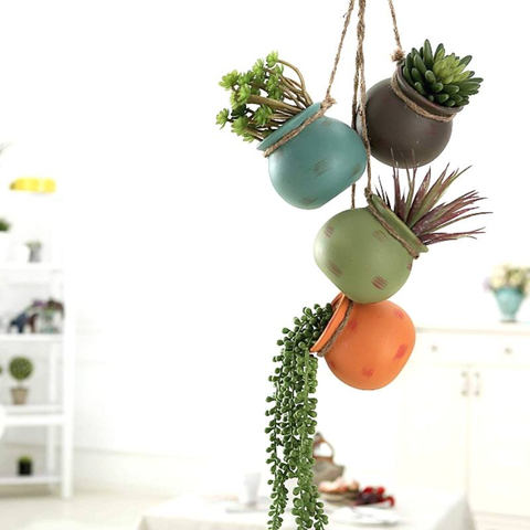 Hanging Cactus Pots