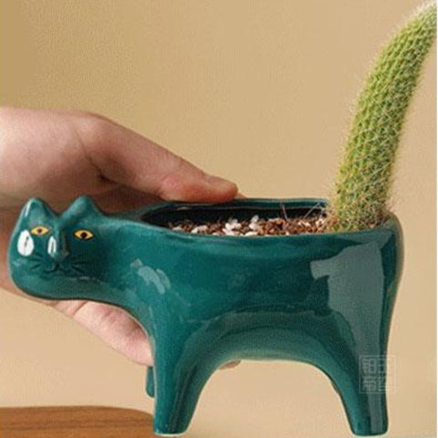 Image of CATcus Cactus Pots 🌵