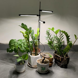 LED Indoor Succulent Plant Lights