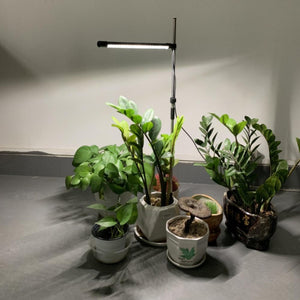LED Indoor Succulent Plant Lights 🌵