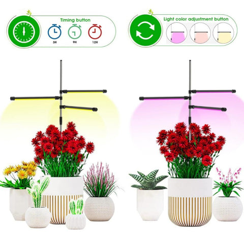 Image of LED Indoor Succulent Plant Lights
